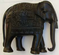 Indischer Eelefant